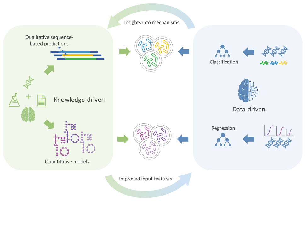 From genotype to phenotype: computational approaches for inferring ...